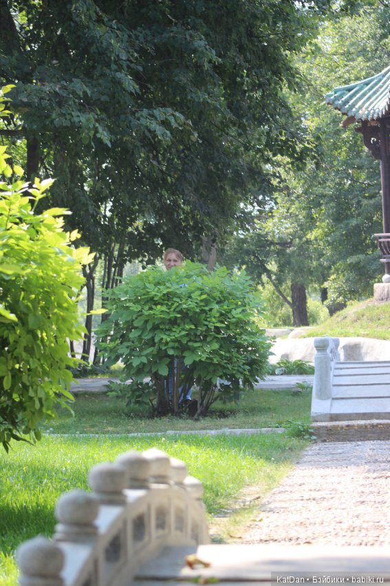 Золотой город часть 2 — Туризм и путешествия: фотоотчеты из поездок (фото 8)