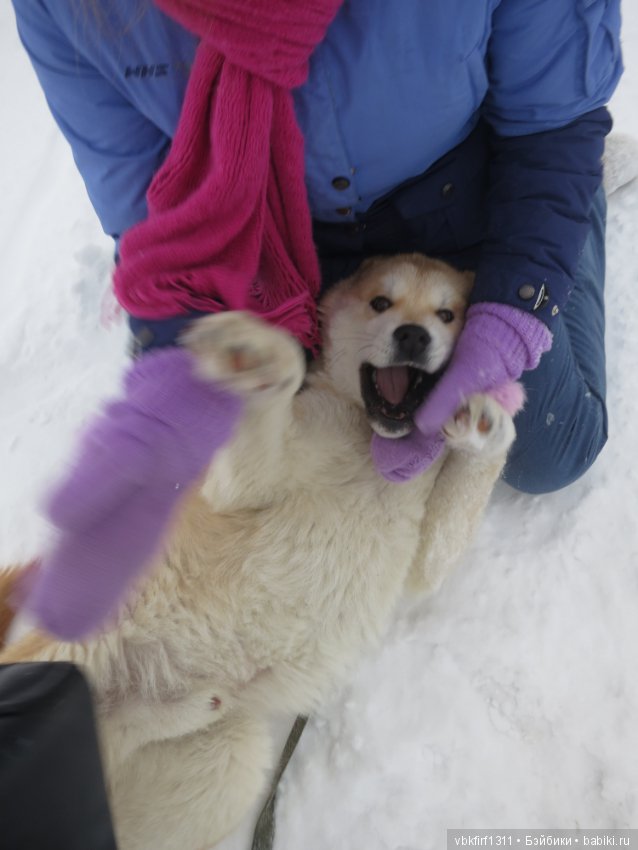 Зимняя прогулка — Болталка и разговоры обо всем: жизнь (фото 9)