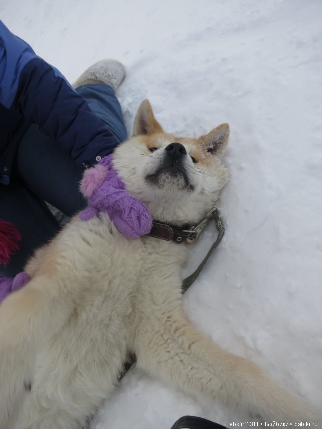 Зимняя прогулка — Болталка и разговоры обо всем: жизнь (фото 10)