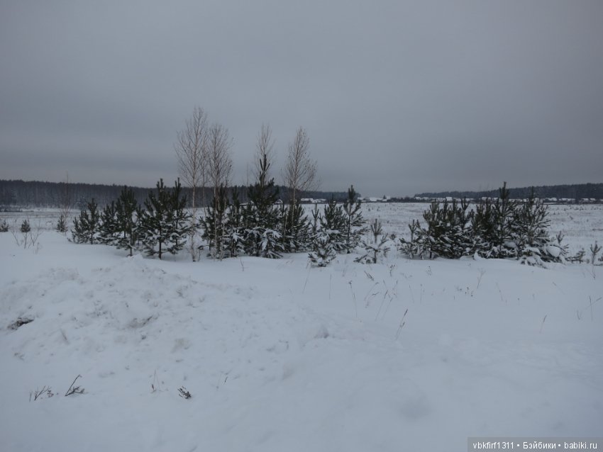 Зимняя прогулка — Болталка и разговоры обо всем: жизнь (фото 5)