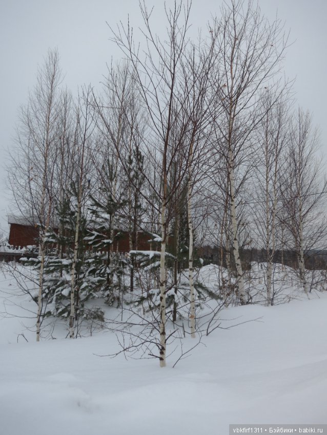 Зимняя прогулка — Болталка и разговоры обо всем: жизнь (фото 6)