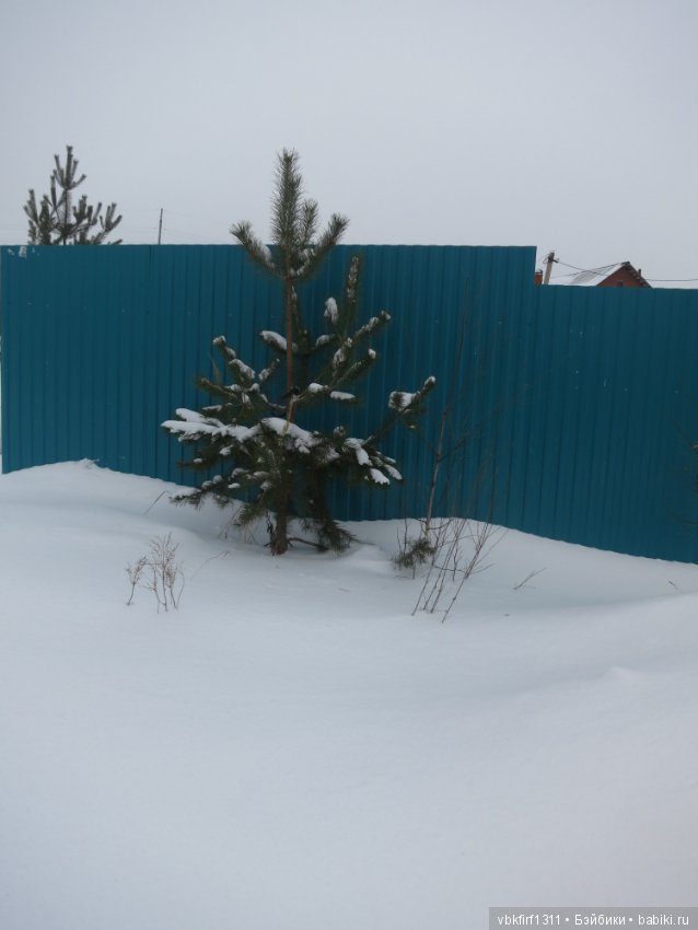 Зимняя прогулка — Болталка и разговоры обо всем: жизнь (фото 4)