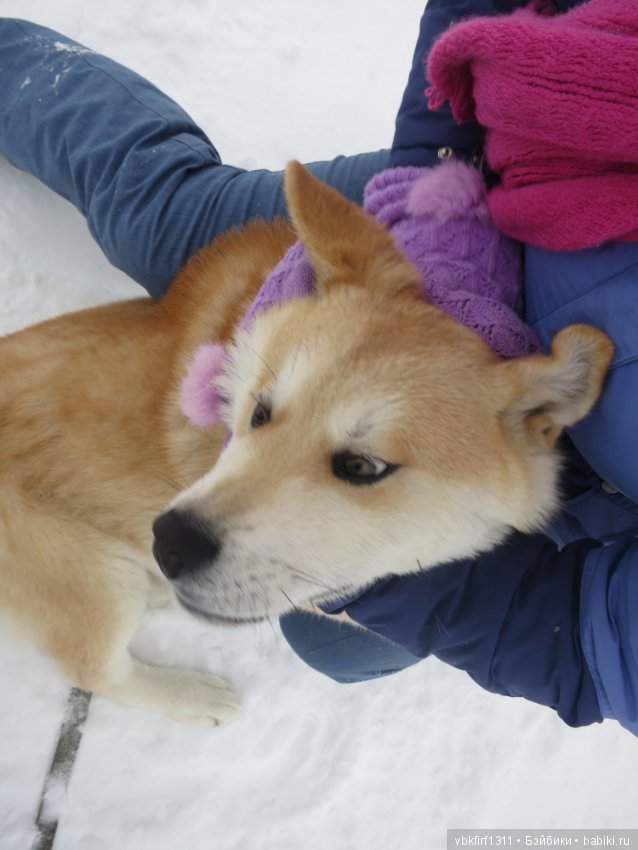 Зимняя прогулка — Болталка и разговоры обо всем: жизнь (фото 7)