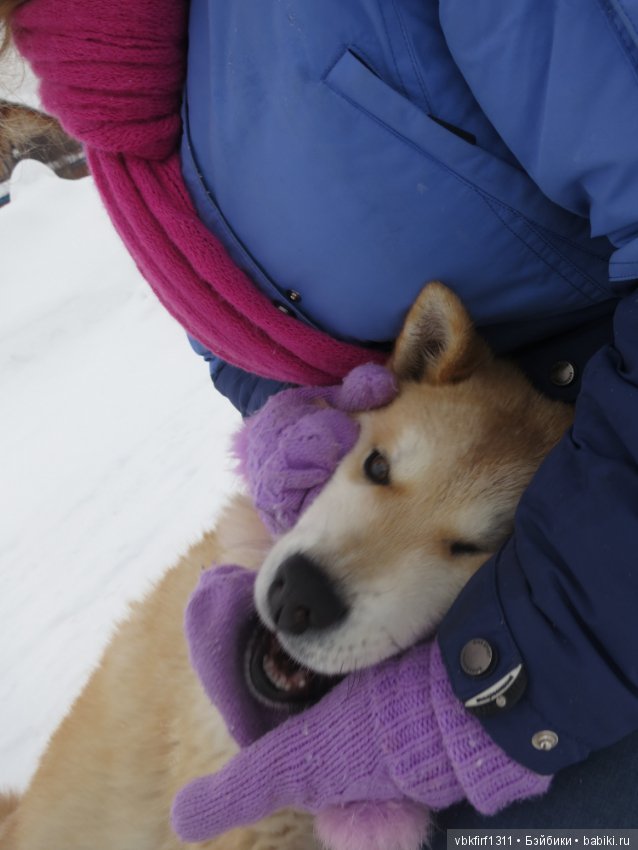 Зимняя прогулка — Болталка и разговоры обо всем: жизнь (фото 8)