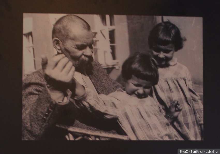 В Нижнем Новгороде начинают работать Горьковские елки (фото 6)