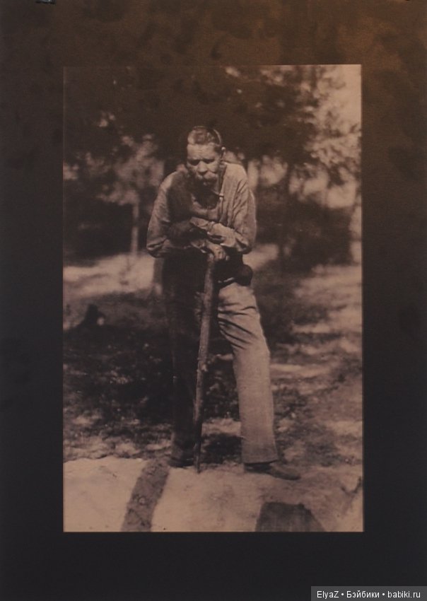 В Нижнем Новгороде начинают работать Горьковские елки (фото 8)