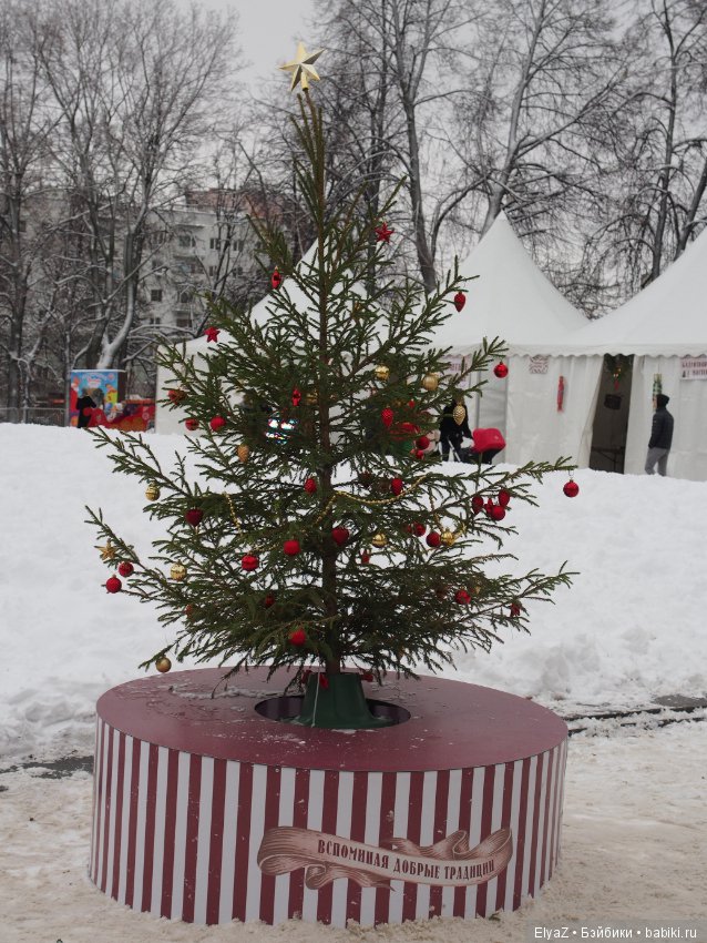 В Нижнем Новгороде начинают работать Горьковские елки (фото 9)