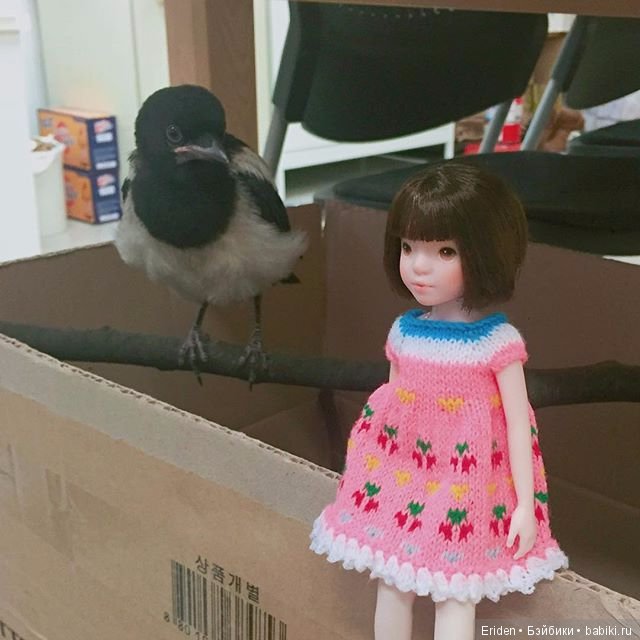 Корейские фешн-куклы. Melodydoll от Jjajan