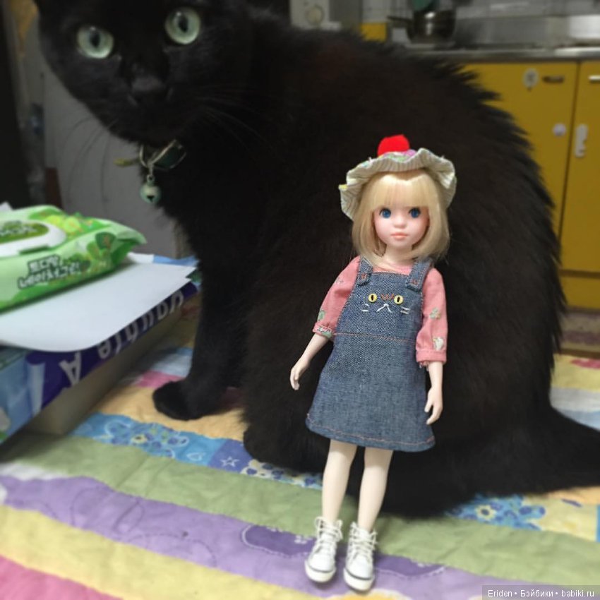 Корейские фешн-куклы. Melodydoll от Jjajan