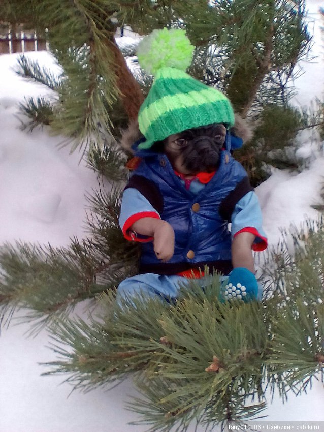 Зимняя прогулка — Интересные игрушки и фигурки (разное): редкие (фото 8)