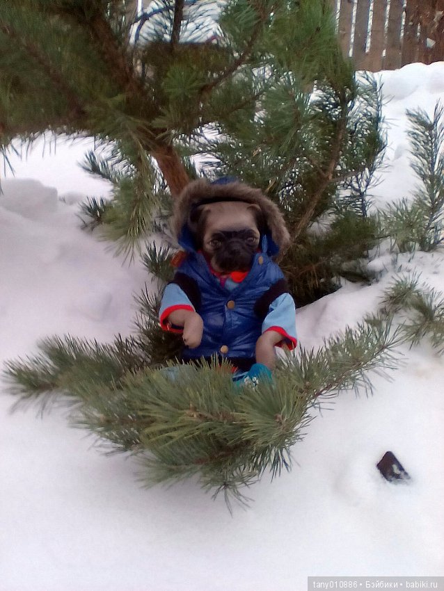 Зимняя прогулка — Интересные игрушки и фигурки (разное): редкие (фото 10)