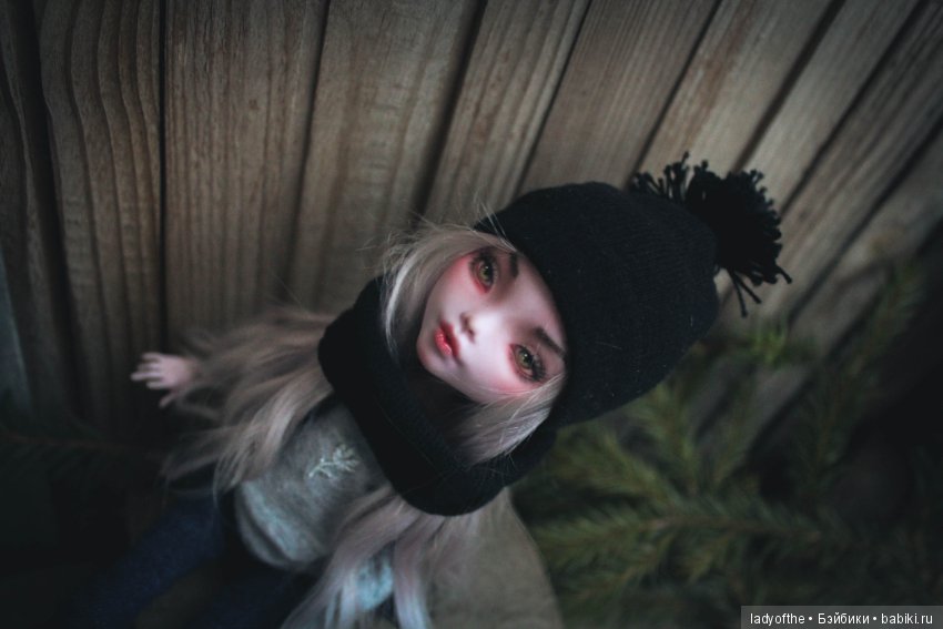 Ооак монстер хай Дракулаура (фото 3)