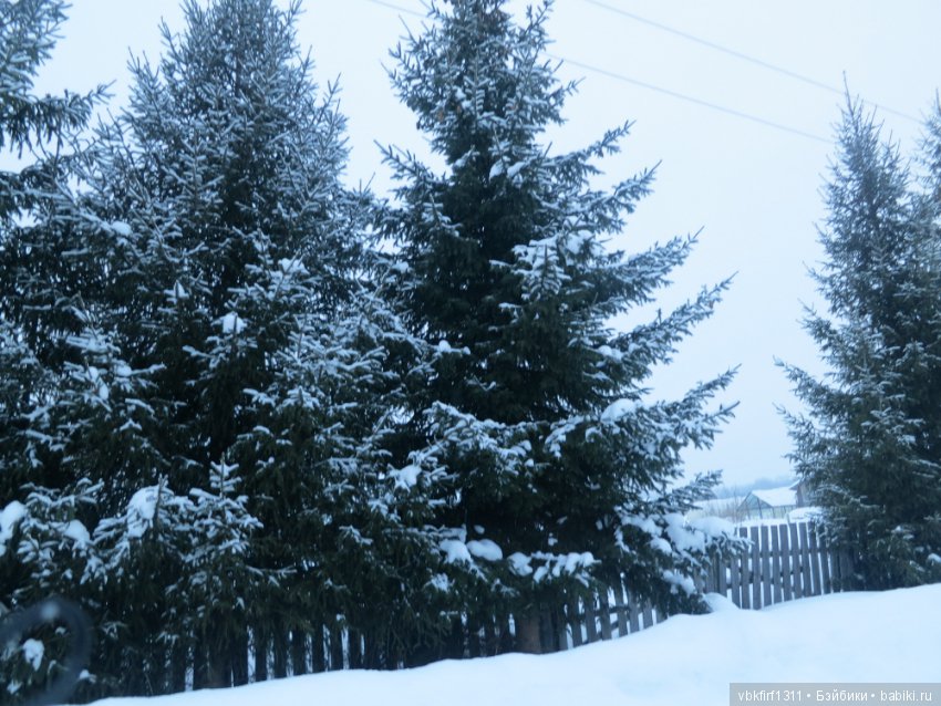Болталка и разговоры обо всем: жизнь