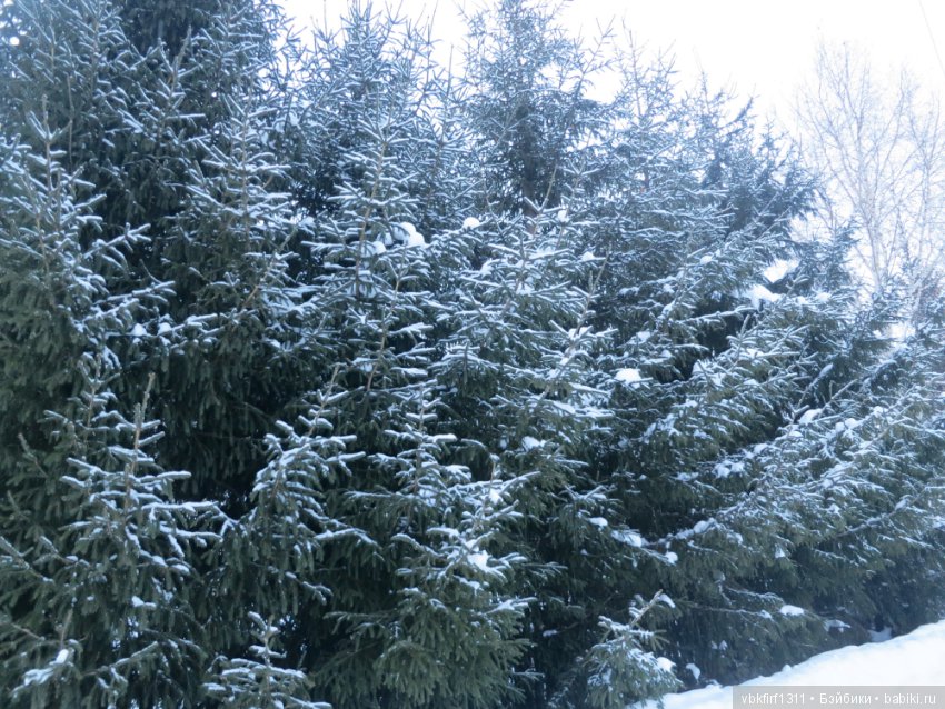 Болталка и разговоры обо всем: жизнь