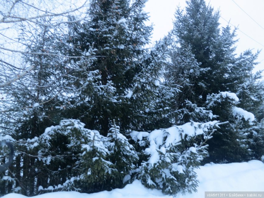 Болталка и разговоры обо всем: жизнь