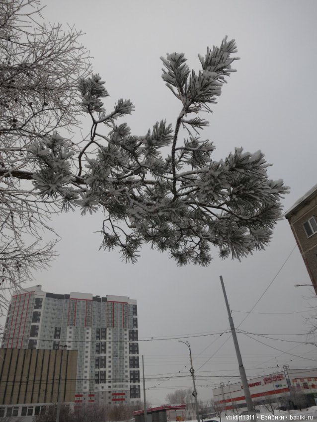 Болталка и разговоры обо всем: жизнь (фото 8)