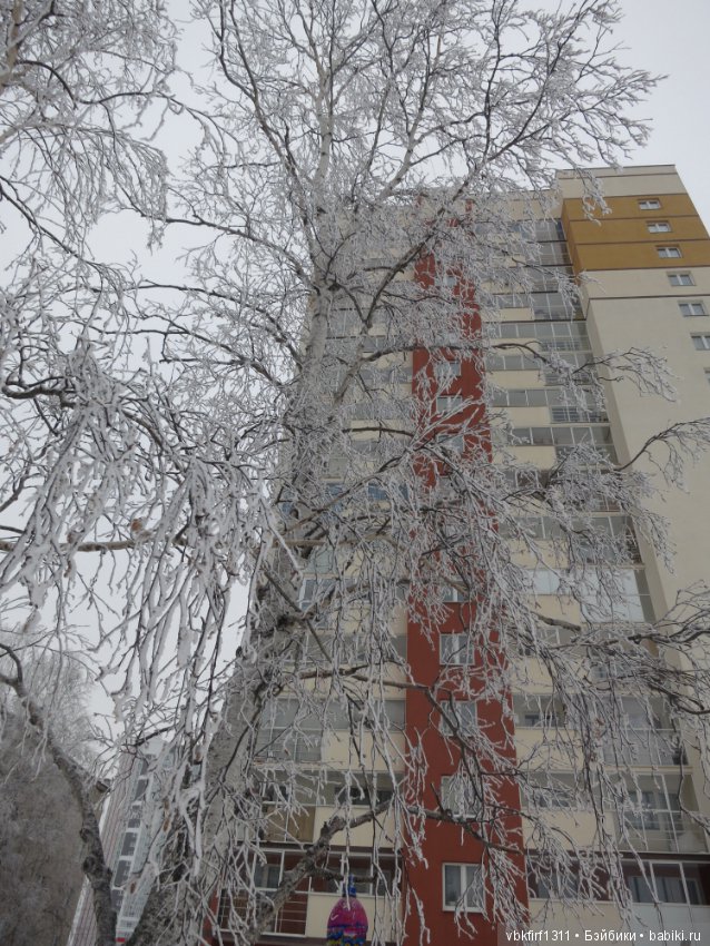 Болталка и разговоры обо всем: жизнь (фото 3)