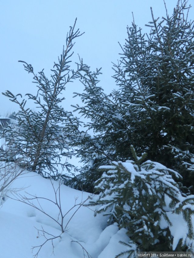 Болталка и разговоры обо всем: жизнь