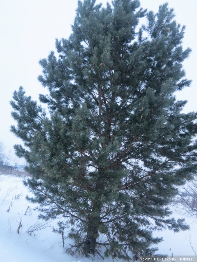 Болталка и разговоры обо всем: жизнь