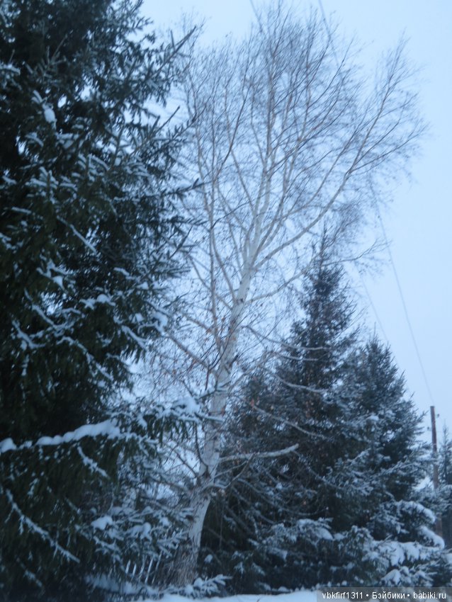 Болталка и разговоры обо всем: жизнь