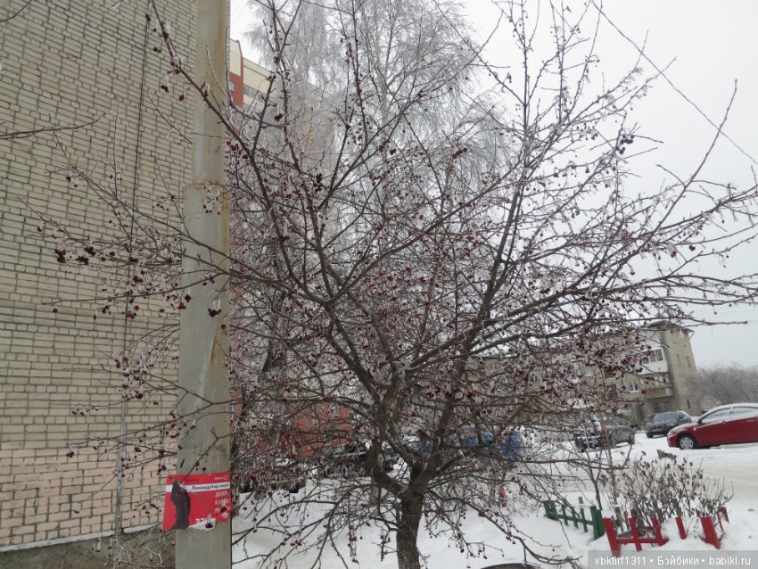 Болталка и разговоры обо всем: жизнь (фото 6)