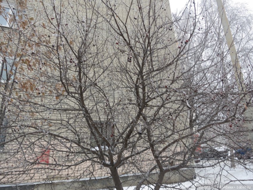 Болталка и разговоры обо всем: жизнь (фото 5)