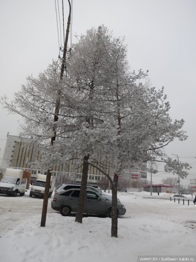Болталка и разговоры обо всем: жизнь (фото 7)