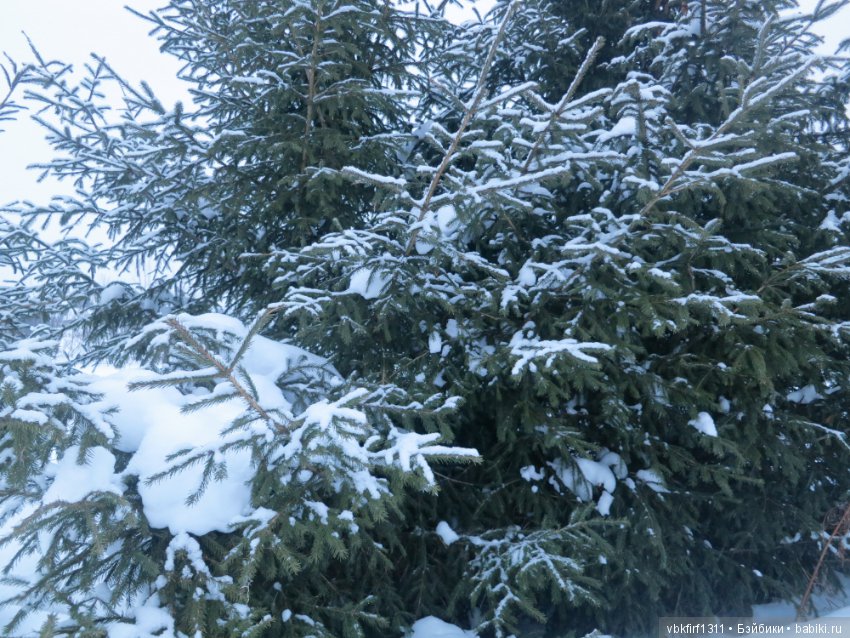 Болталка и разговоры обо всем: жизнь