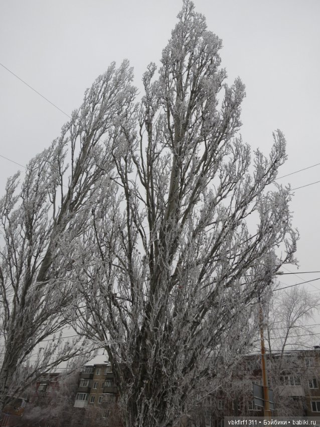 Болталка и разговоры обо всем: жизнь (фото 9)