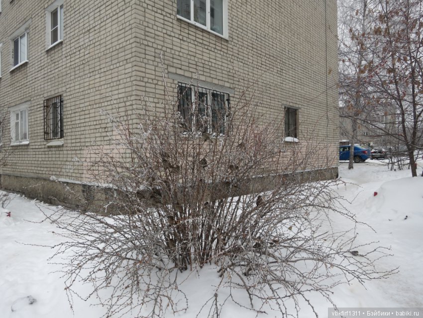 Болталка и разговоры обо всем: жизнь (фото 4)