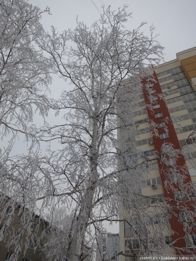 Болталка и разговоры обо всем: жизнь