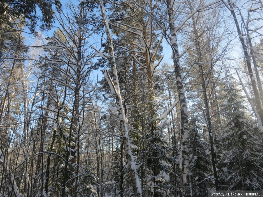 Поездка зимой в деревню — Туризм и путешествия: фотоотчеты из поездок