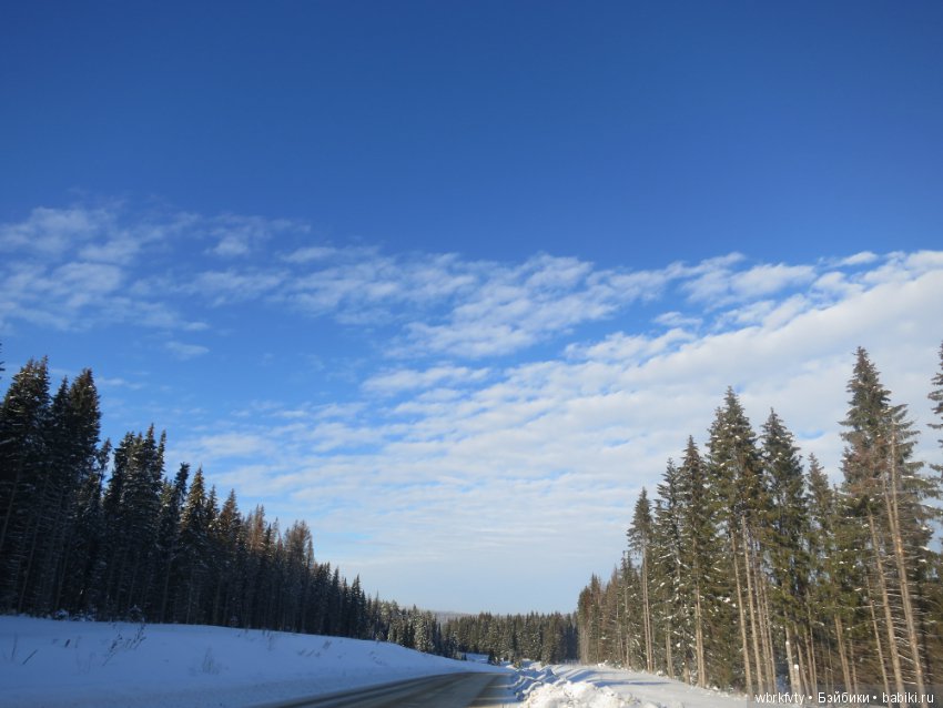 Поездка зимой в деревню — Туризм и путешествия: фотоотчеты из поездок