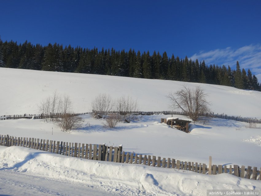 Поездка зимой в деревню — Туризм и путешествия: фотоотчеты из поездок