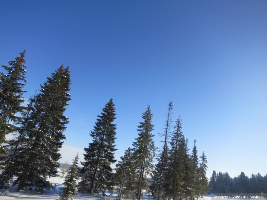 Поездка зимой в деревню — Туризм и путешествия: фотоотчеты из поездок