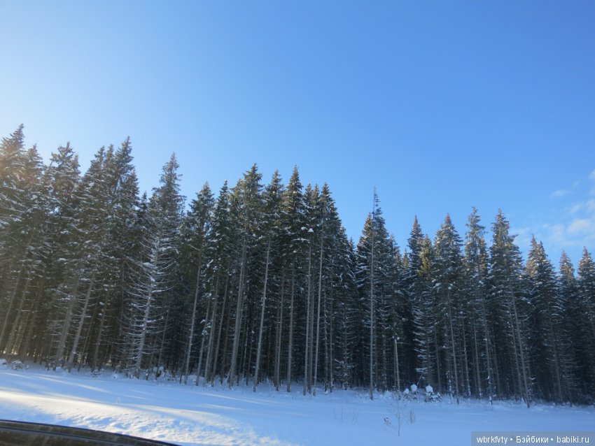 Поездка зимой в деревню — Туризм и путешествия: фотоотчеты из поездок