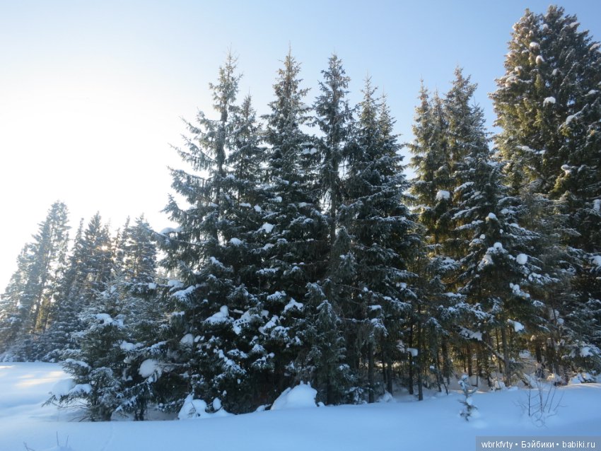 Поездка зимой в деревню — Туризм и путешествия: фотоотчеты из поездок