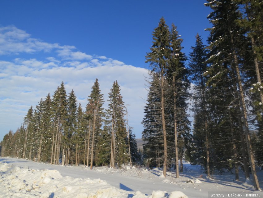 Поездка зимой в деревню — Туризм и путешествия: фотоотчеты из поездок