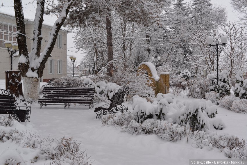 Встреча сестренок kidz and cats