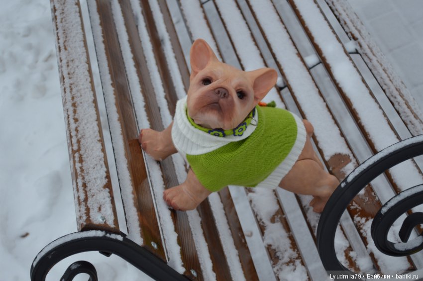 Прогулка бульдог Bellami, реборна. Мастерская Людмилы Скрылёвой (фото 4)