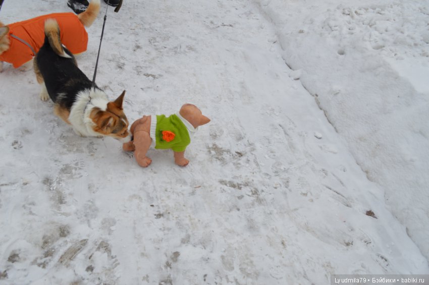 Прогулка бульдог Bellami, реборна. Мастерская Людмилы Скрылёвой