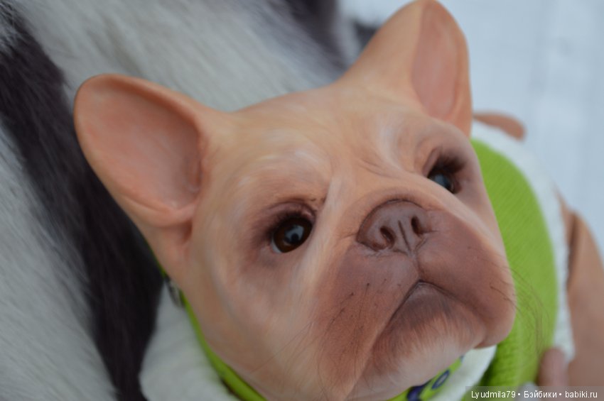 Прогулка бульдог Bellami, реборна. Мастерская Людмилы Скрылёвой (фото 8)