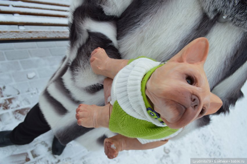 Прогулка бульдог Bellami, реборна. Мастерская Людмилы Скрылёвой (фото 6)