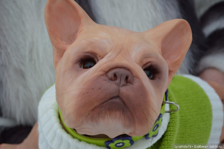 Прогулка бульдог Bellami, реборна. Мастерская Людмилы Скрылёвой (фото 5)
