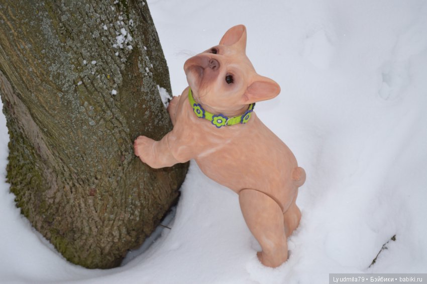 Прогулка бульдог Bellami, реборна. Мастерская Людмилы Скрылёвой (фото 9)