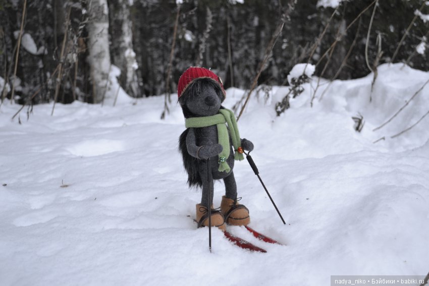Познакомьтесь - это Ёжик, он знаток лесных дорожек (фото 6)