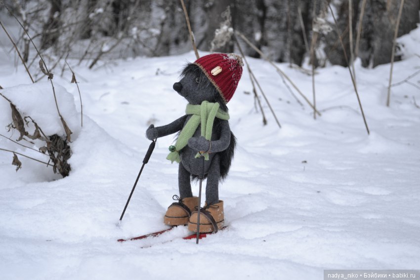 Познакомьтесь - это Ёжик, он знаток лесных дорожек (фото 8)
