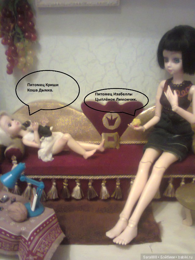 День из жизни Изабеллы и Криши