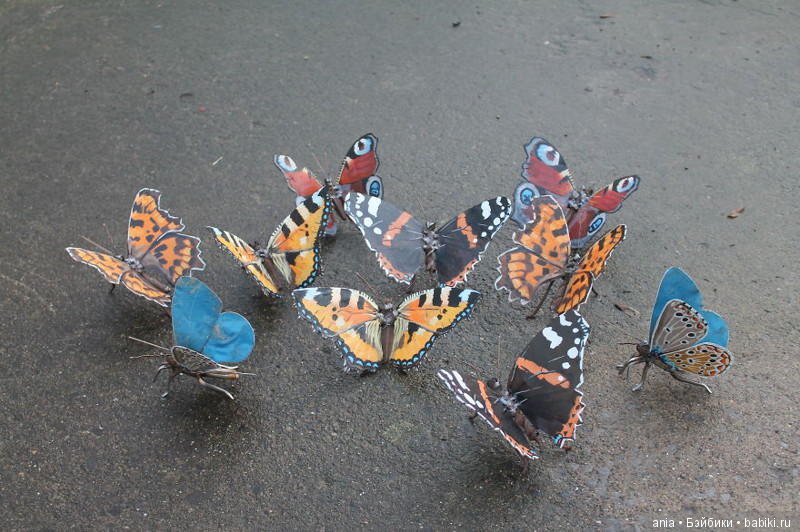 Скульптуры из металлолома, вдохновленные природой