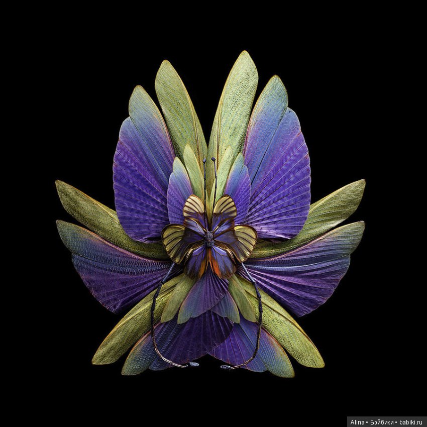 Яркие цветы из крыльев бабочек (фото 3)